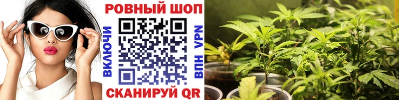 Магазин наркотиков Тамбов Бошки Шишки COCAIN мега как войти Меф ГАШИШ