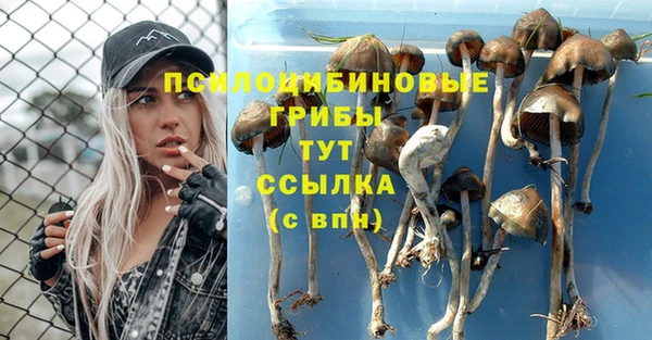 COCAINE Нязепетровск