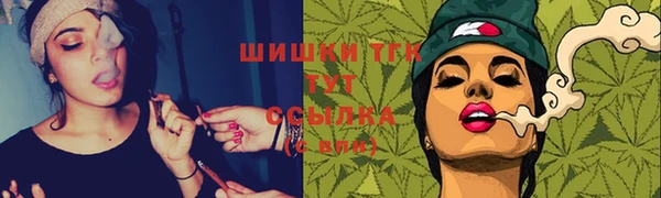 соль ск Няндома