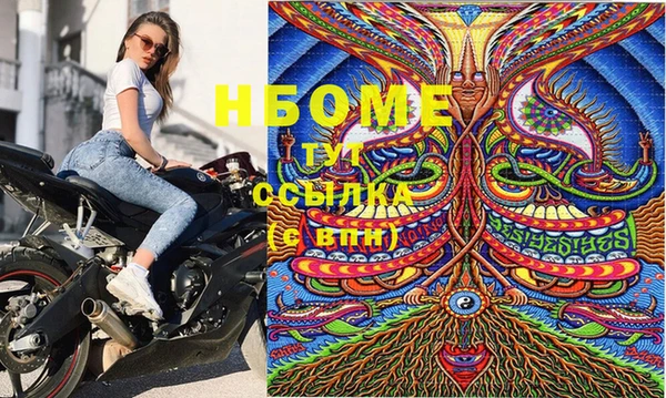 соль ск Няндома