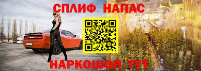хмурый Жуковский