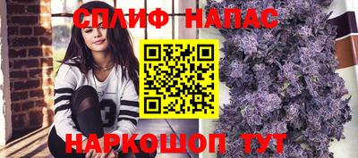 a pvp Заводоуковск