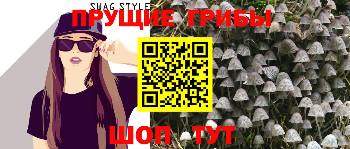 Тамбов  Псилоцибиновые грибы GOLDEN TEACHER  Вход с VPN 